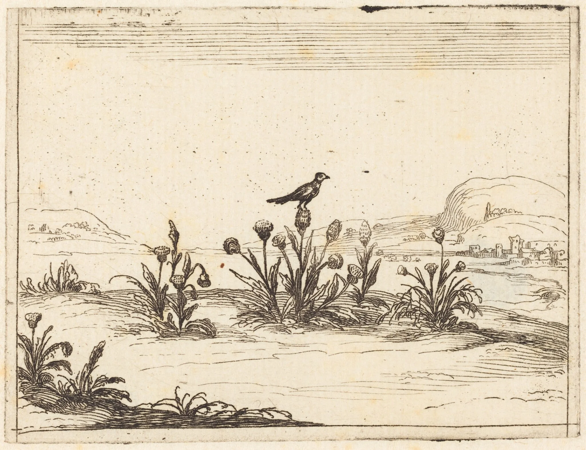 Bird Perched in a Thistle, detail