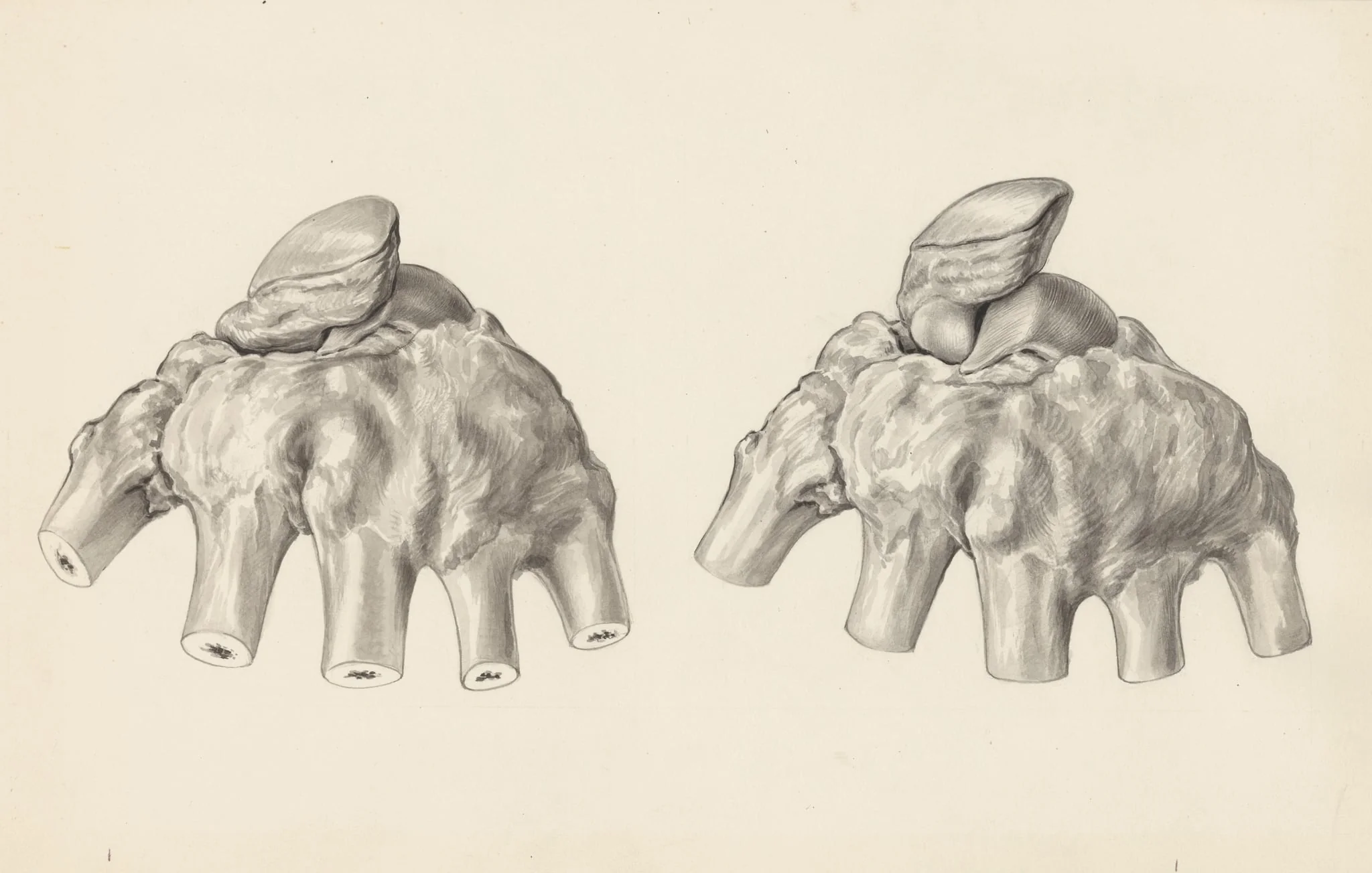 Musculoskeletal system of the hand, detail