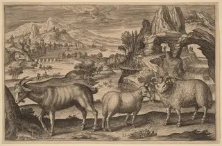 A Goat, a Ewe, and a Ram, by Adriaen Collaert, ink, 1597