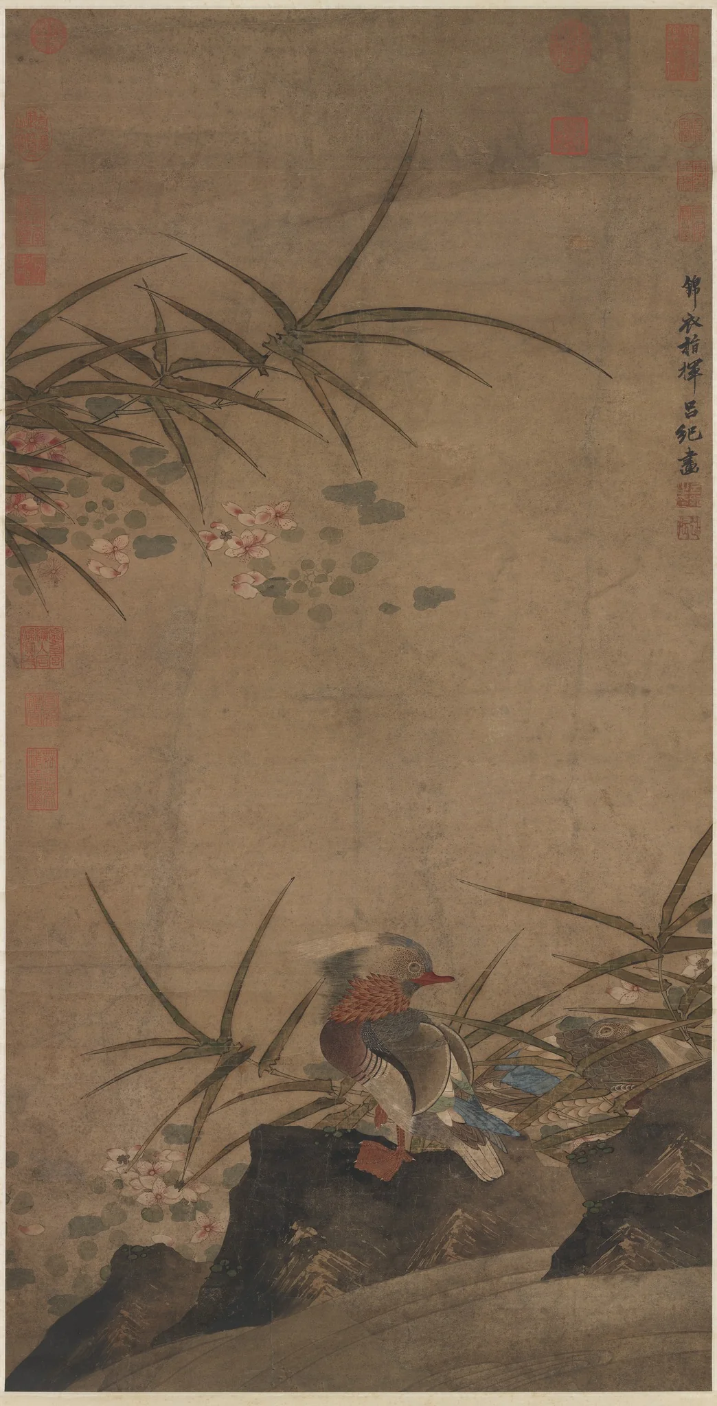 Mondarin Ducks, detail