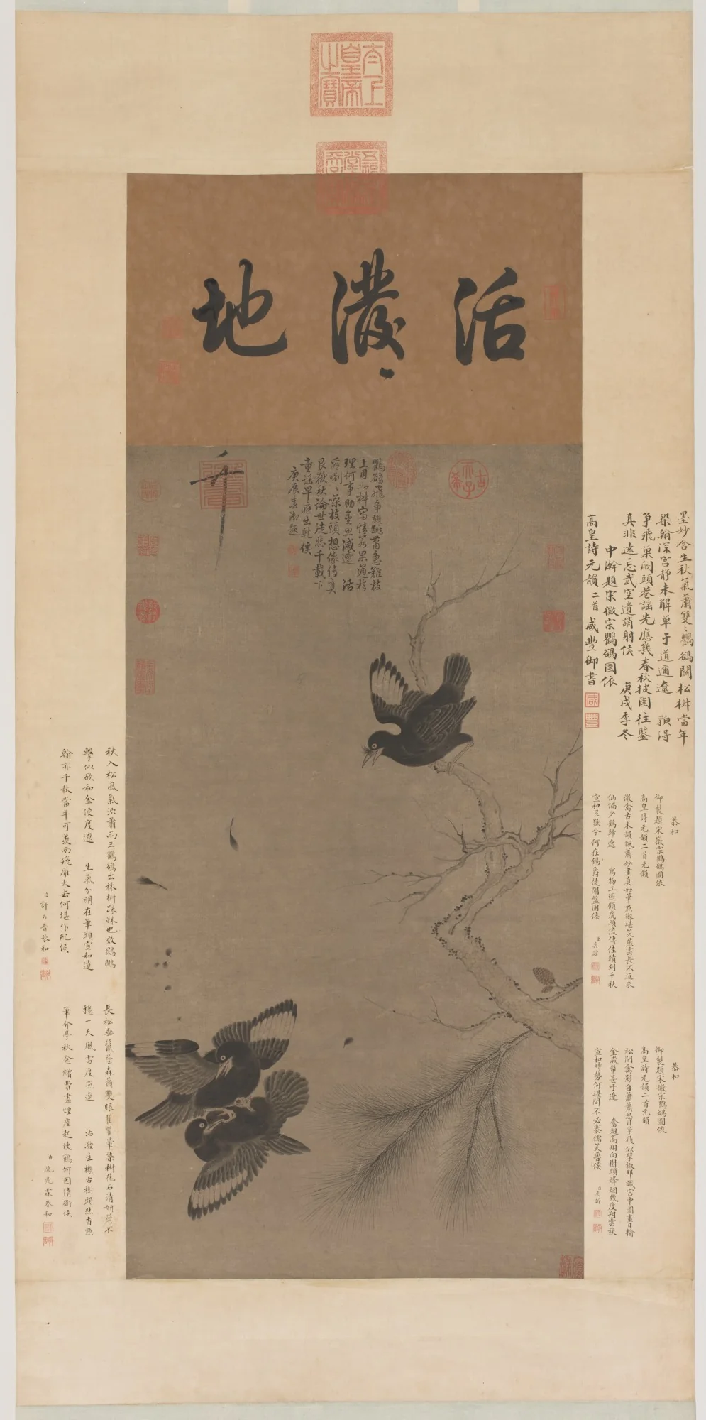 Fighting Mynah Birds, detail