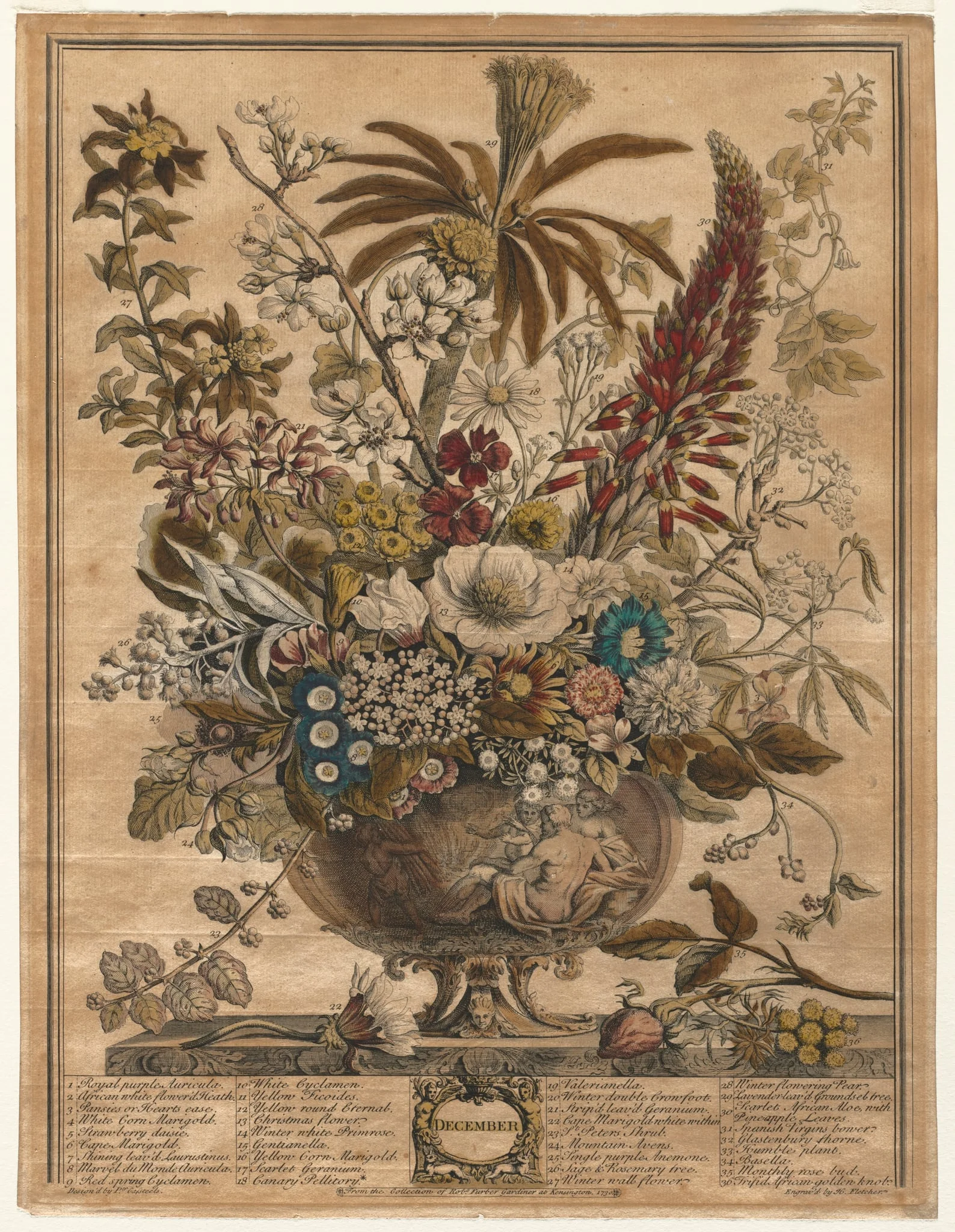 Twelve Months of Flowers: December, detail