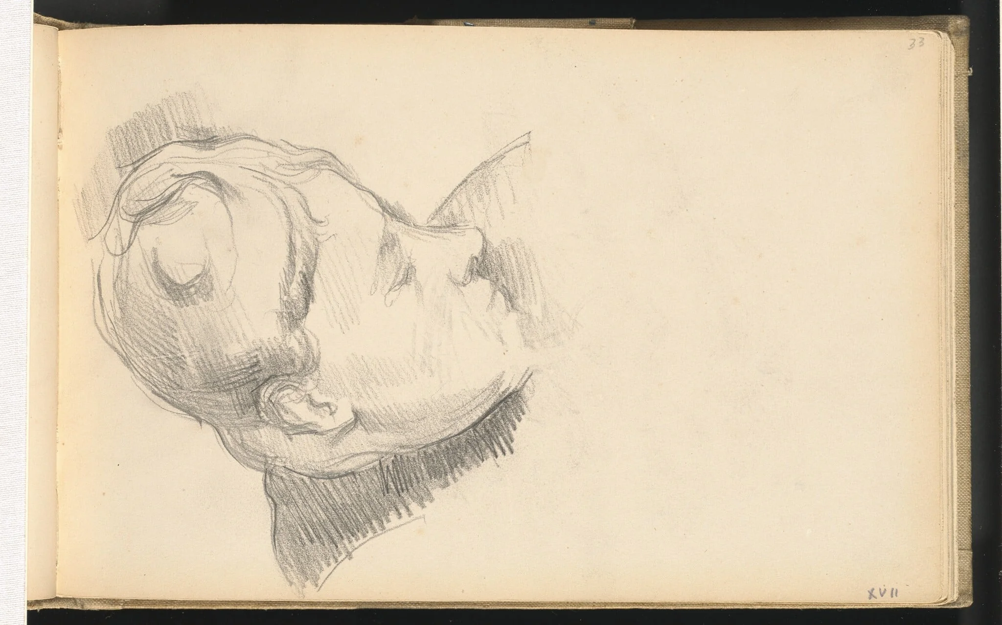 Madame Cezanne with her Head Lowered, detail
