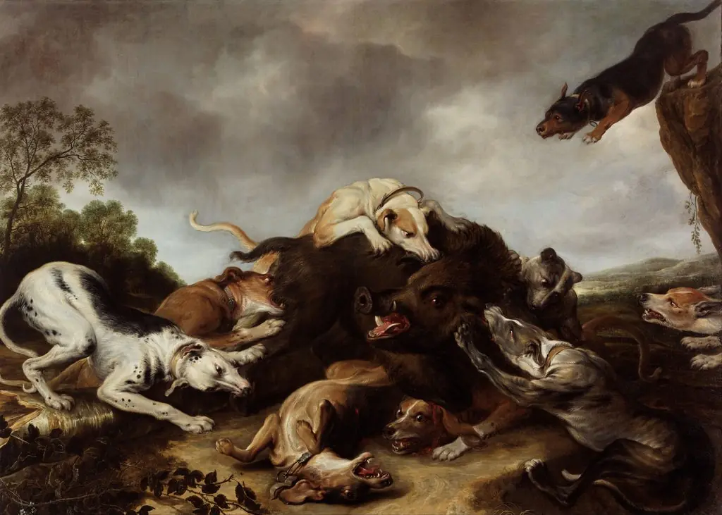 The boar hunt, by Frans Snyders, oil, 1650