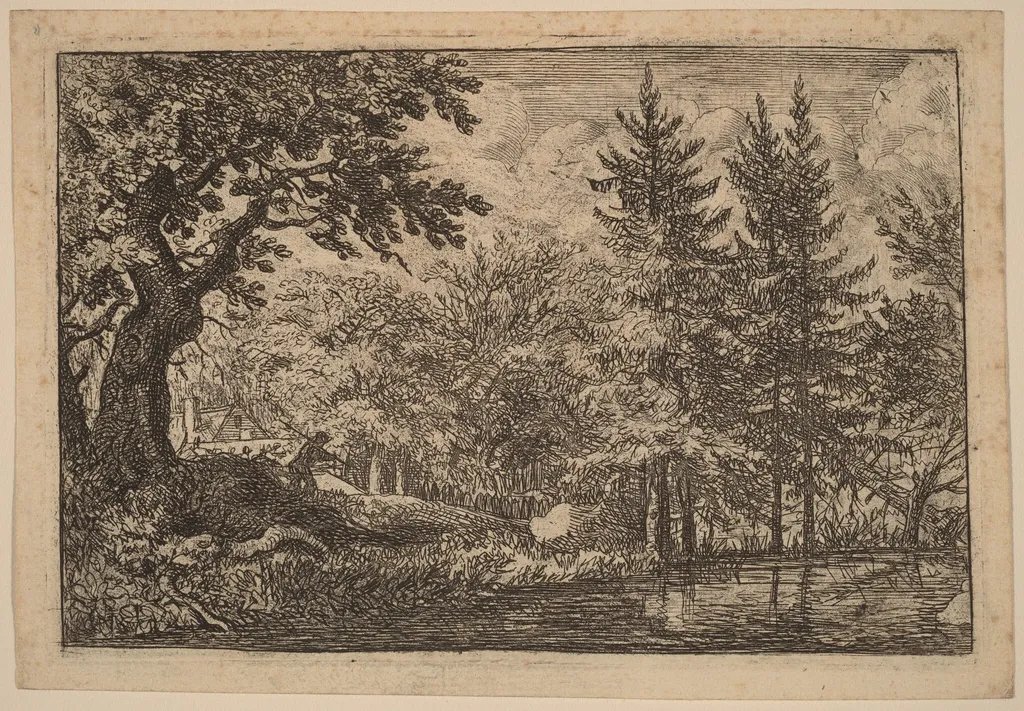 Fir Trees at the Water, by Allart van Everdingen, ink, 1650