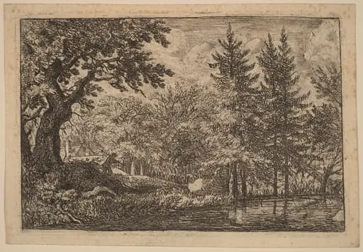 Fir Trees at the Water, by Allart van Everdingen, ink, 1650