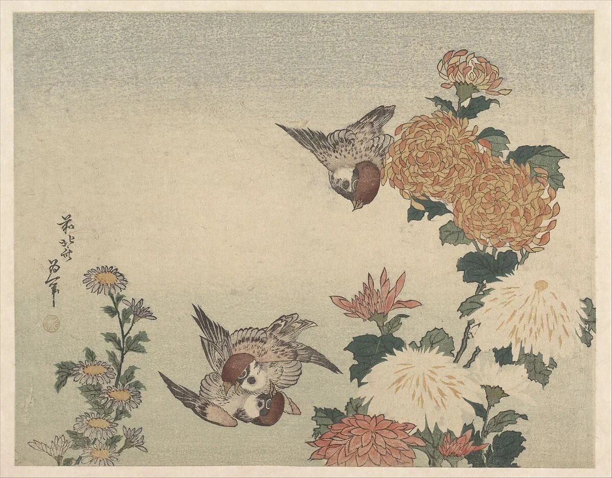 葛飾北斎画 菊に雀|Sparrows and Chrysanthemums, detail