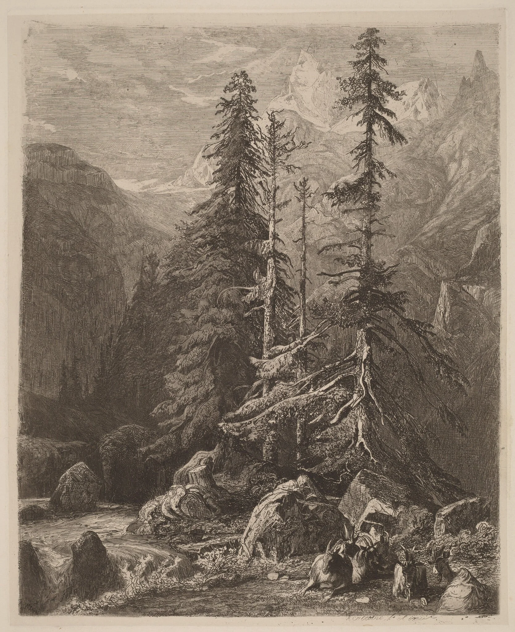 Essais de gravure à l'eau forte par Alexandre Calame, I, pl. 21, detail