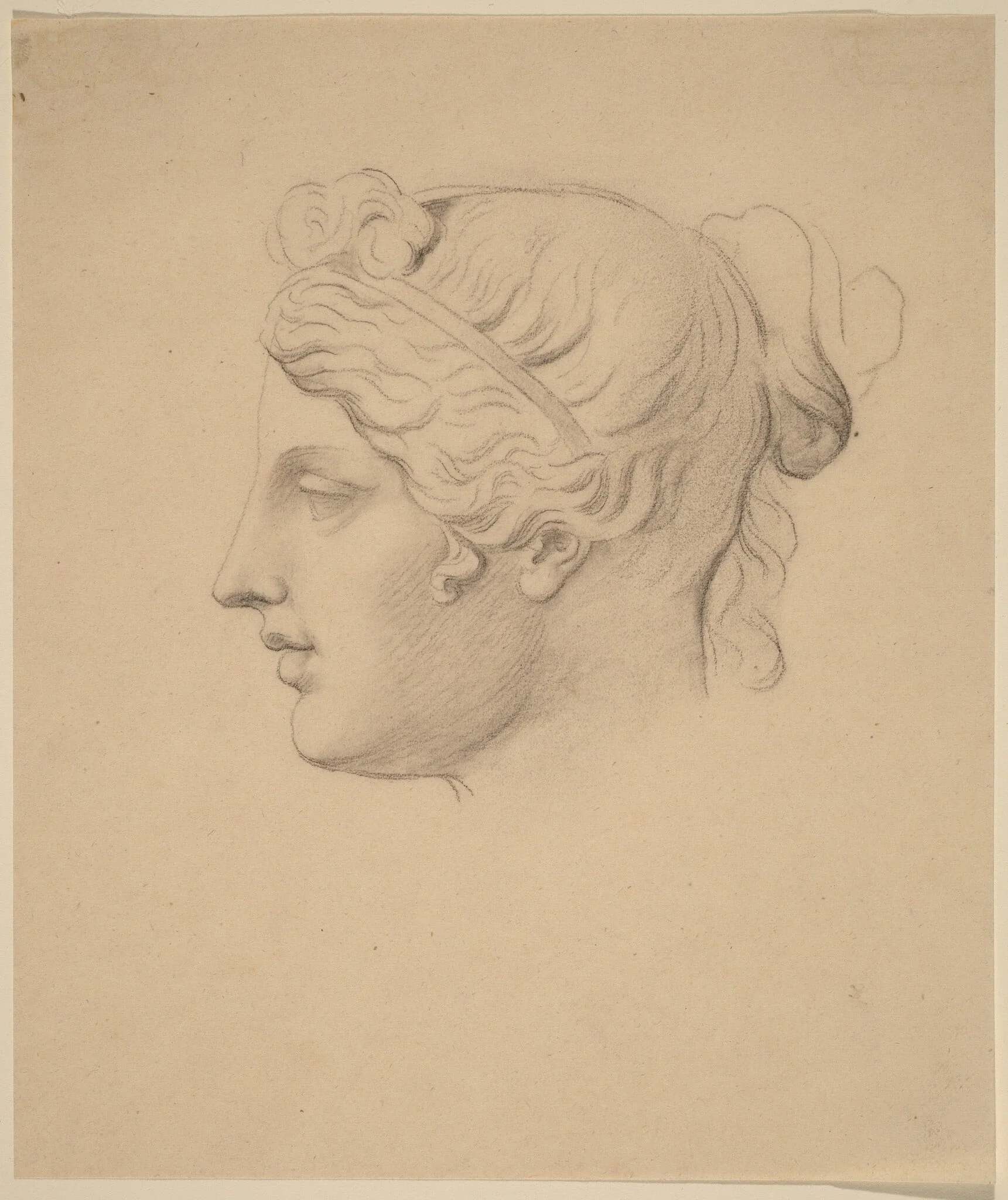 Classical Head in Profile, detail