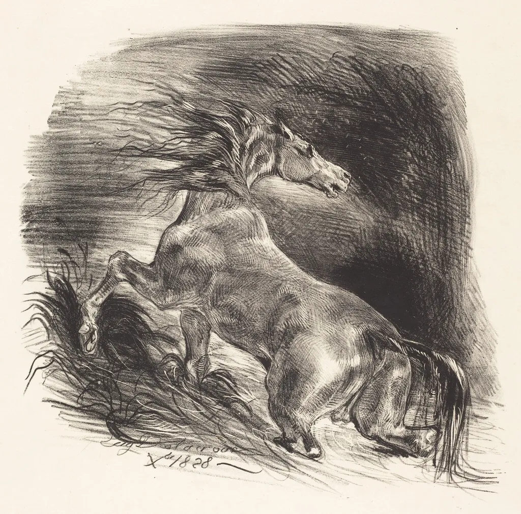 Wild Horse Coming out of the Water (Cheval sauvage), by Eugène Delacroix, ink, 1828