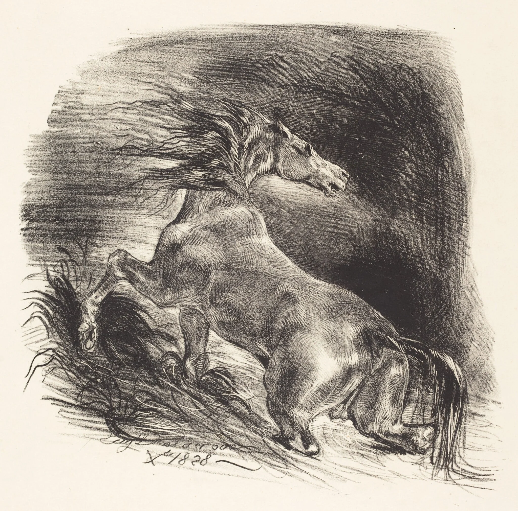 Wild Horse Coming out of the Water (Cheval sauvage), detail