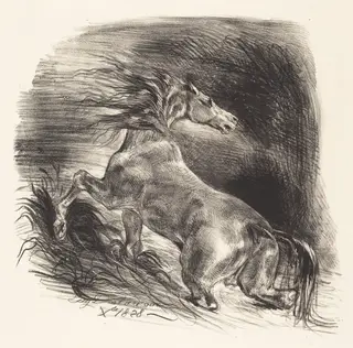 Wild Horse Coming out of the Water (Cheval sauvage), by Eugène Delacroix, ink, 1828