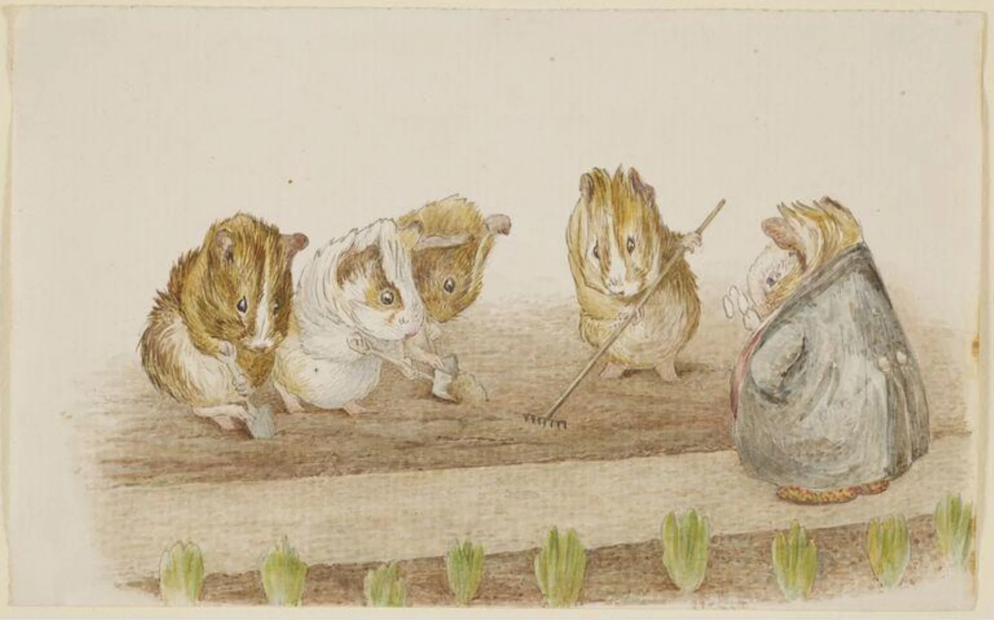 Guinea pigs gardening, detail