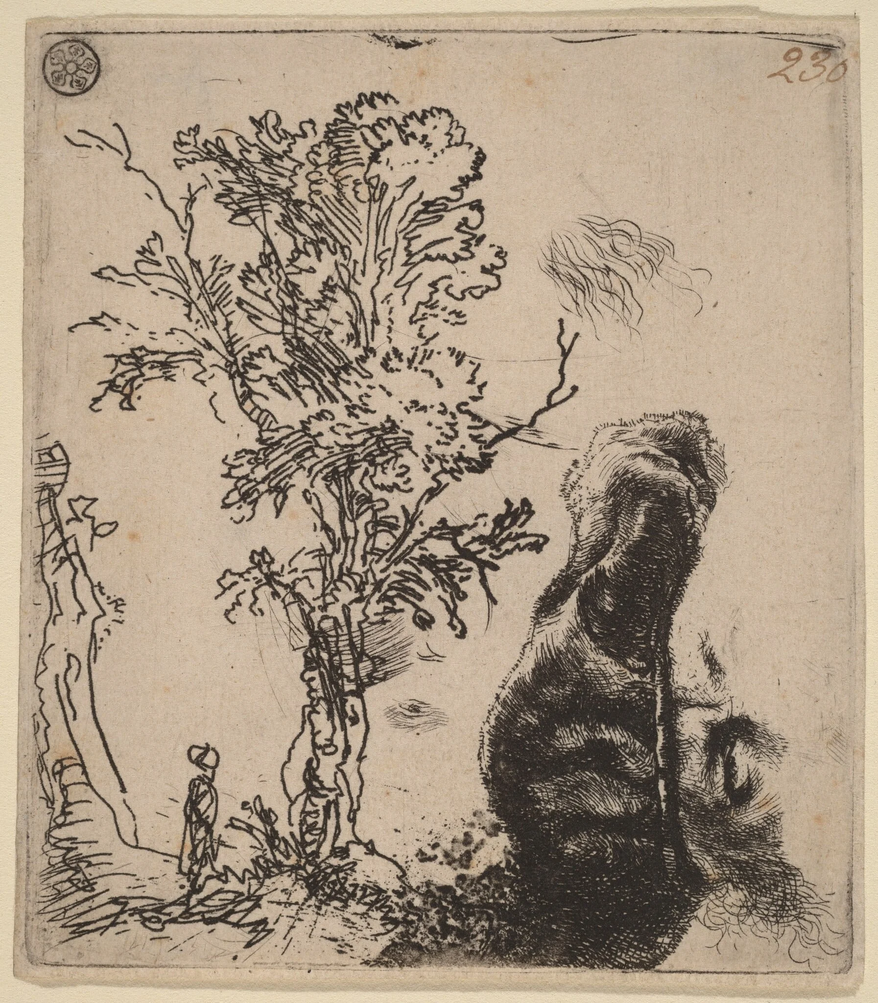 Sheet with Two Studies: a Tree, and the Upper Part of a Head of the Artist Wearing a Velvet Cap, detail