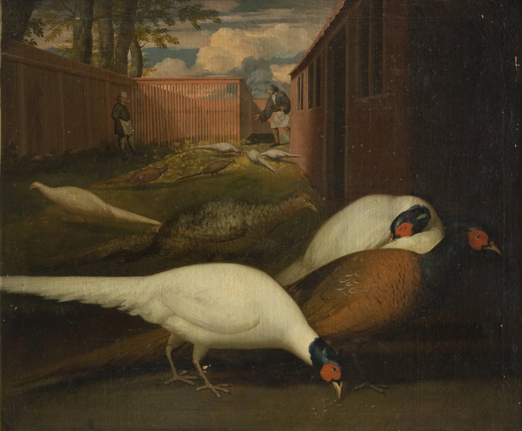 Fasaner i et indelukke, detail