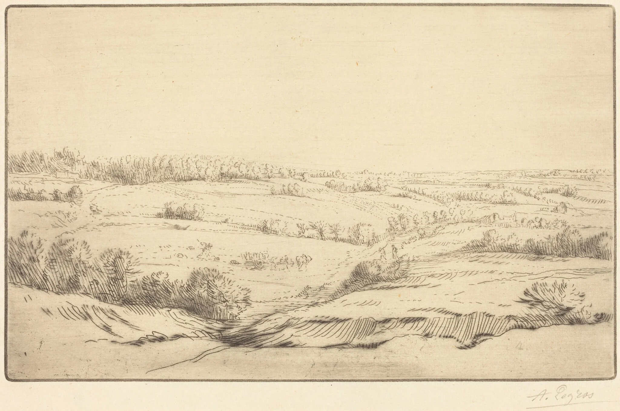 Plain (La plaine), detail