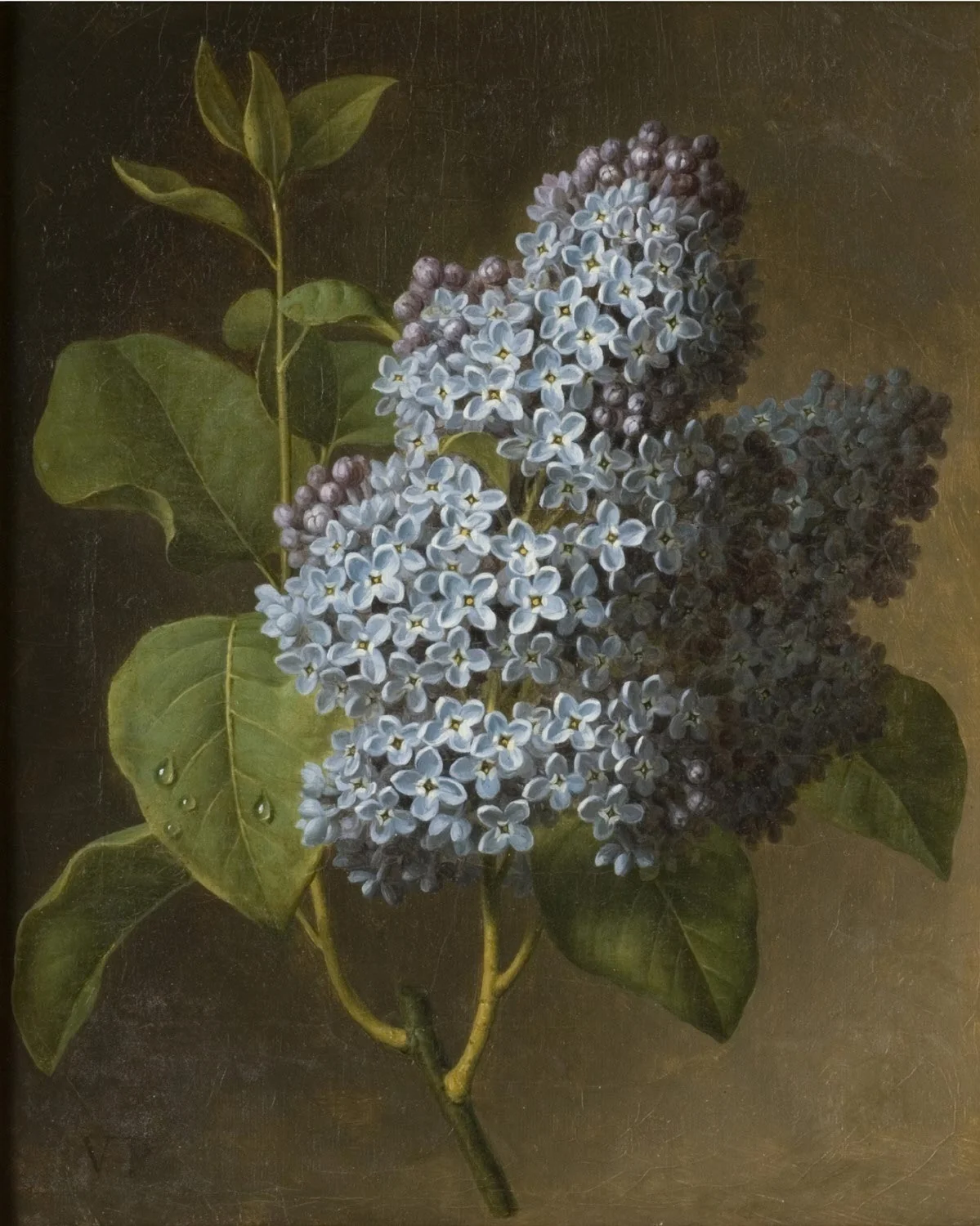 Lilac Blossoms, detail