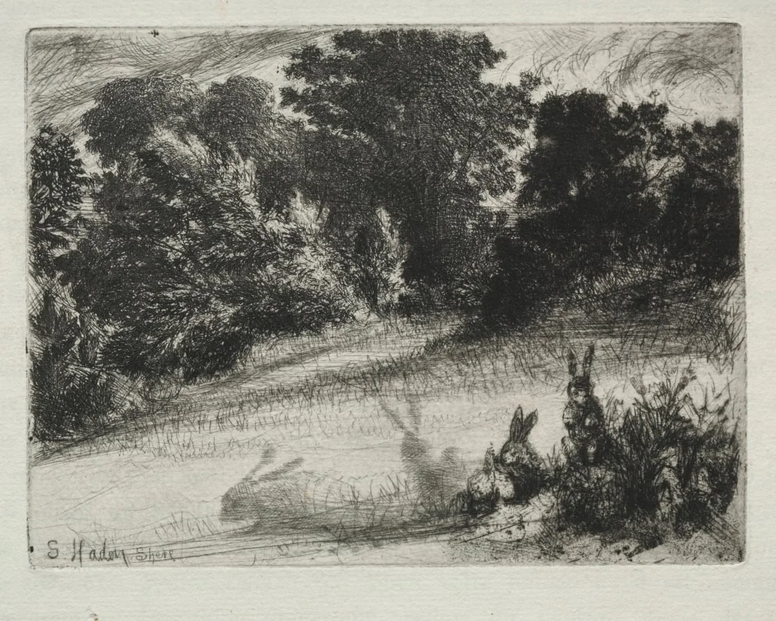 Combe Bottom, detail