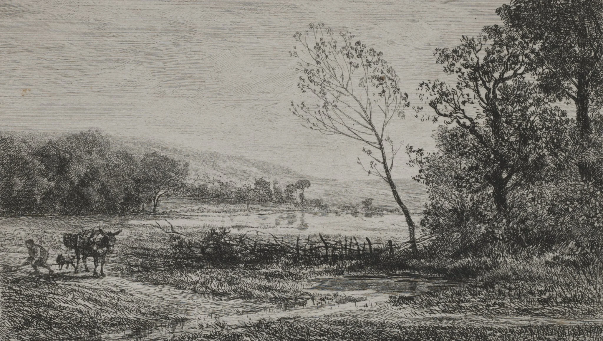 Autumn, detail