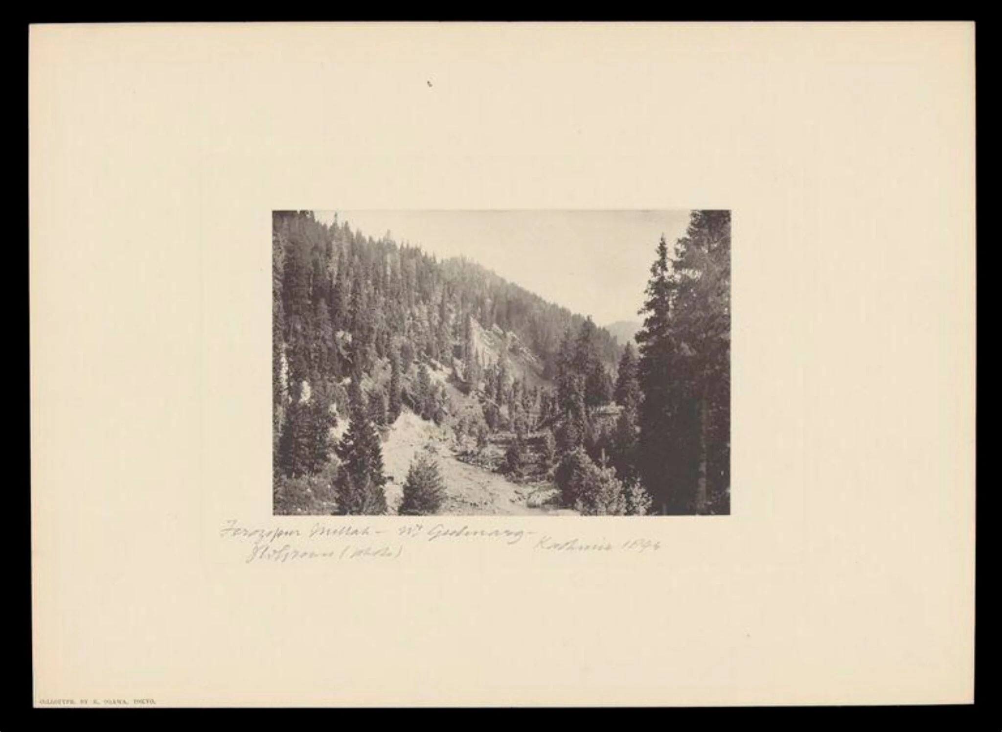 Gulmarg, Kashmir, detail