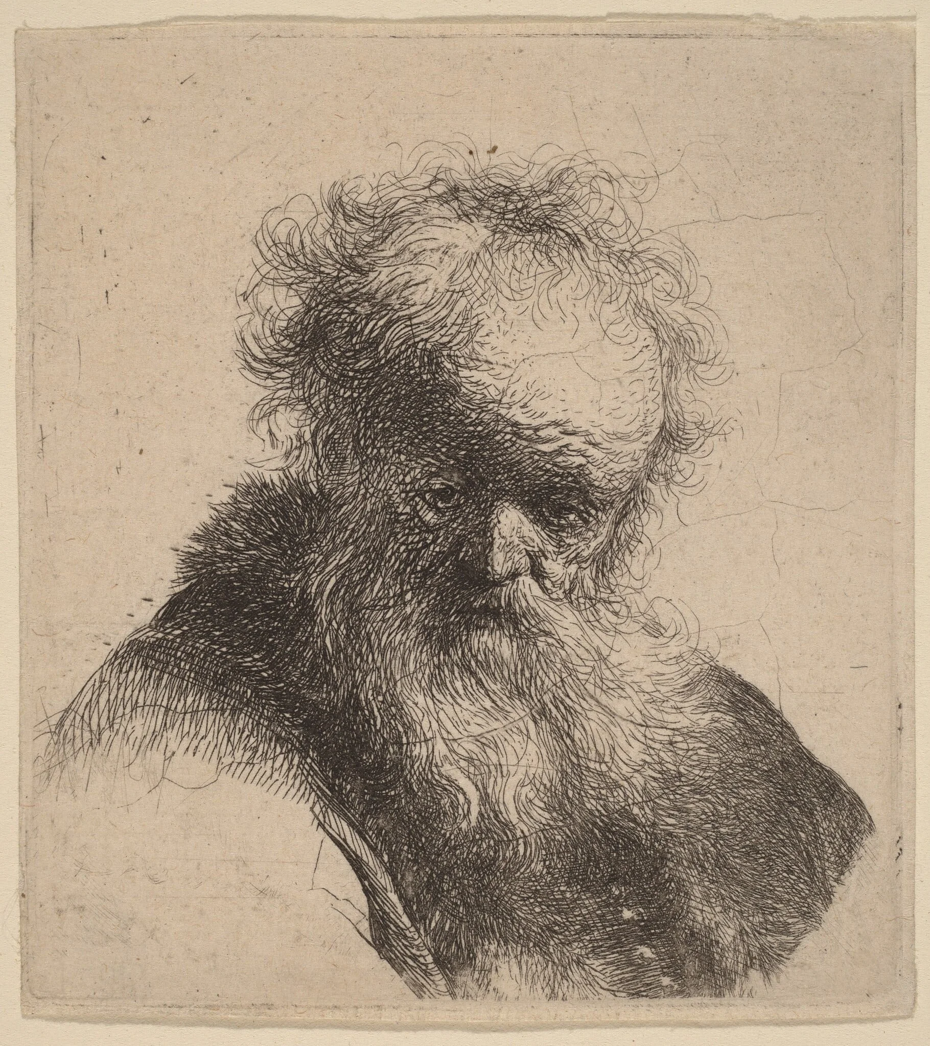 Bust of an Old Man with Flowing Beard and White Sleeve, detail