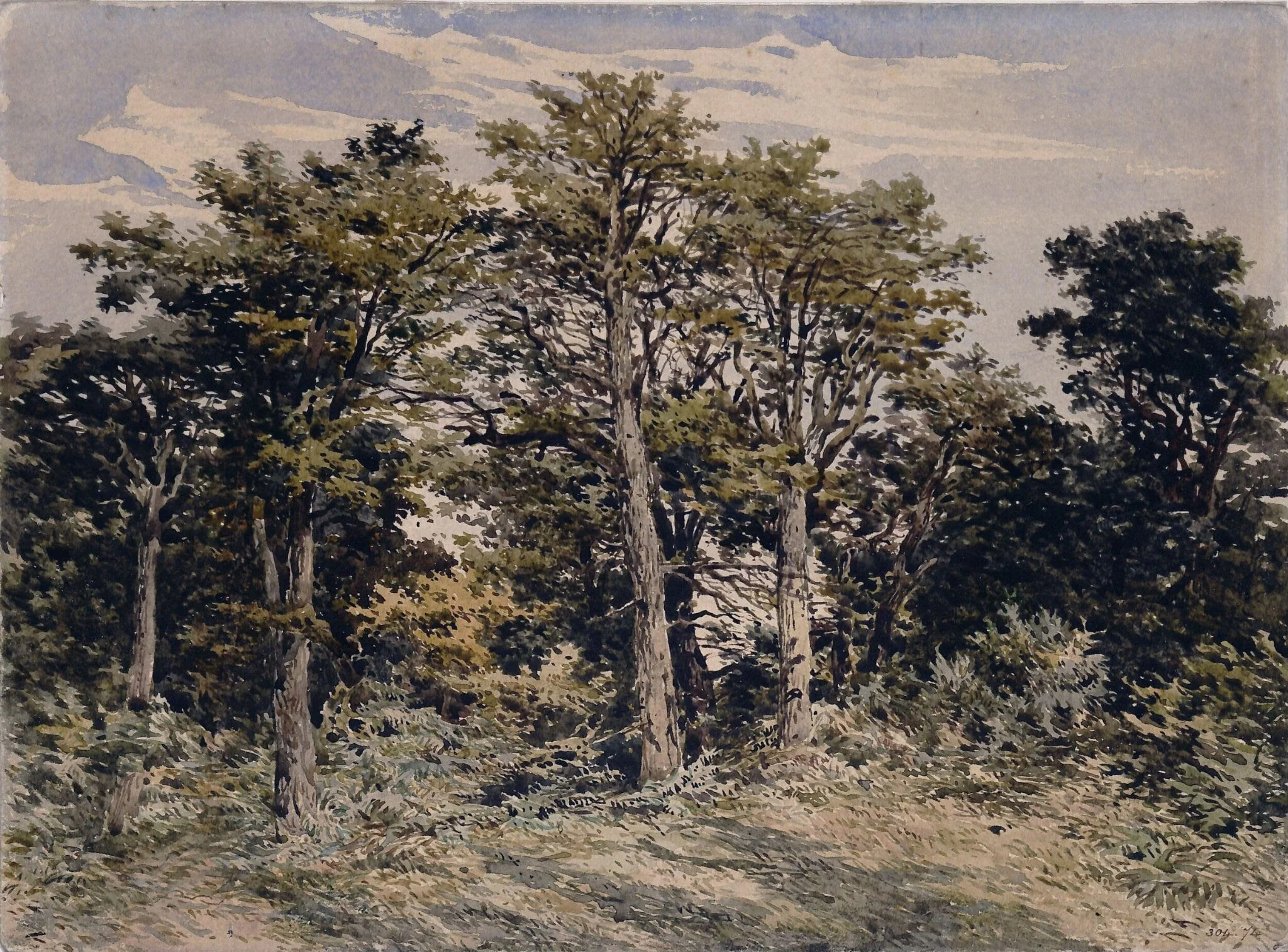 Study of trees, detail