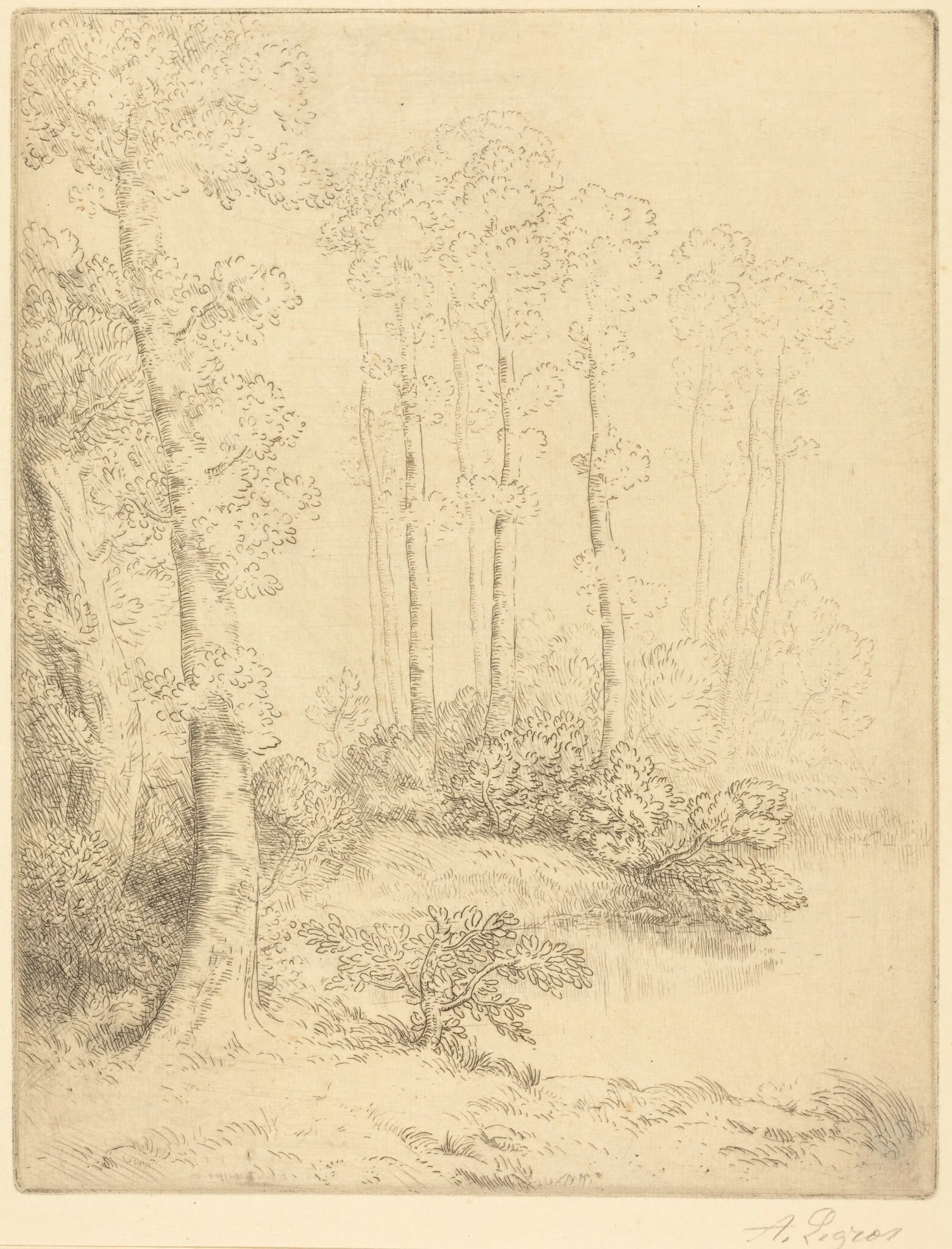 Edge of the Water (Au bord de l'eau), detail