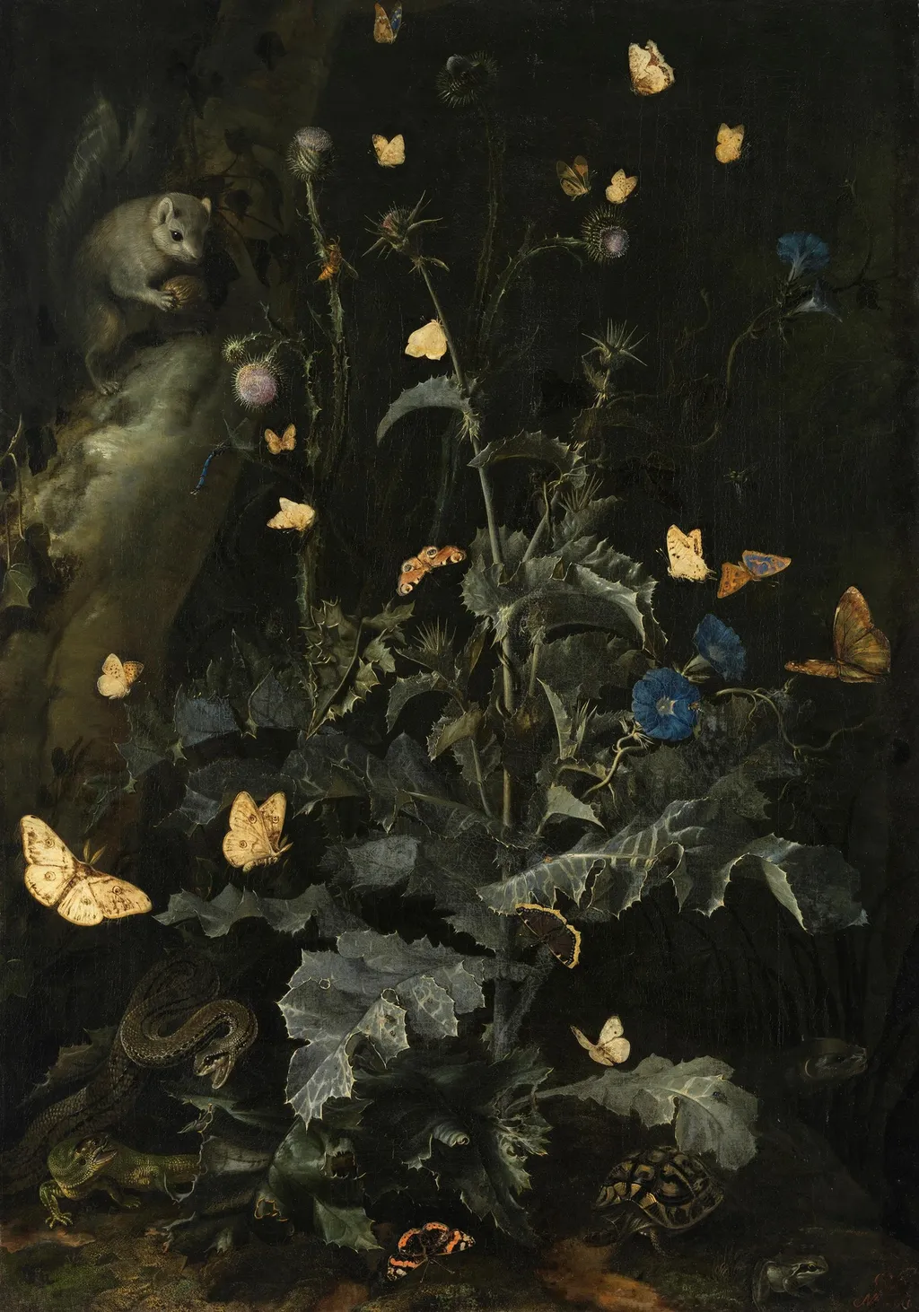 Forest floor still life with thistle and rodent, by Otto Marseus van Schrieck, oil, 1670