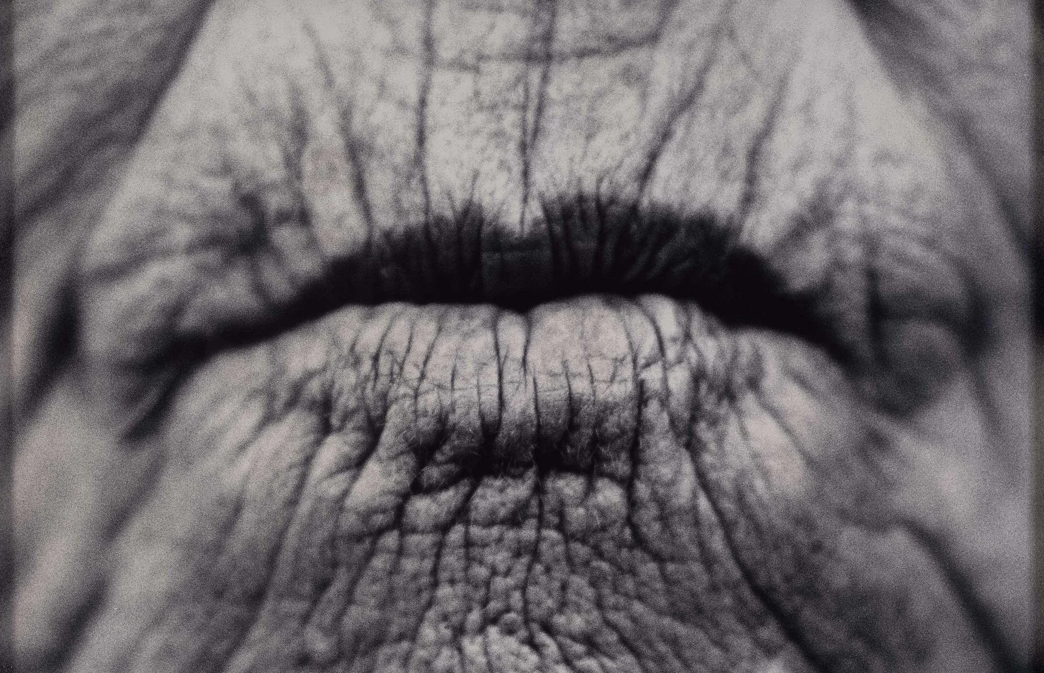 With(out) voice, detail
