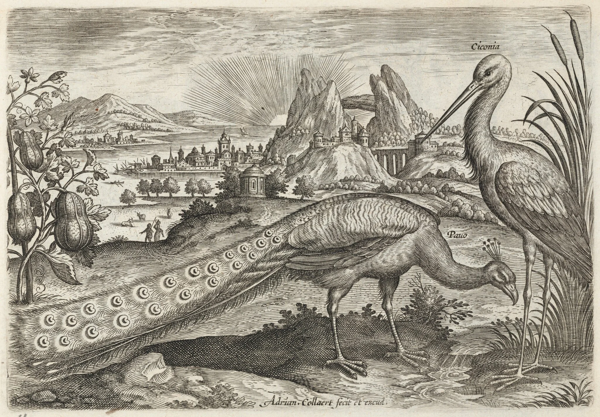 Peacock and Stork, detail
