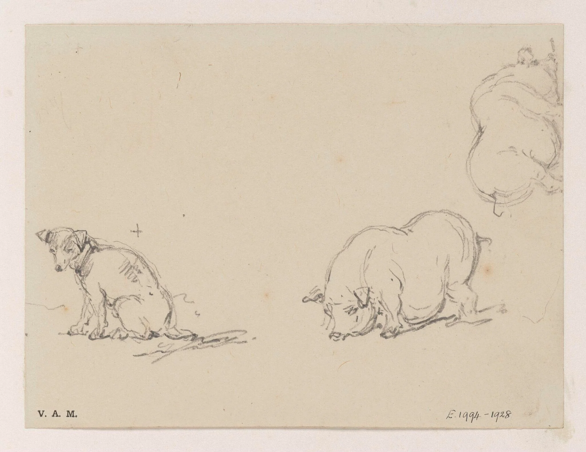 Pigs and a dog, detail