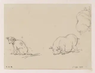 Pigs and a dog, by George Chinnery, 19