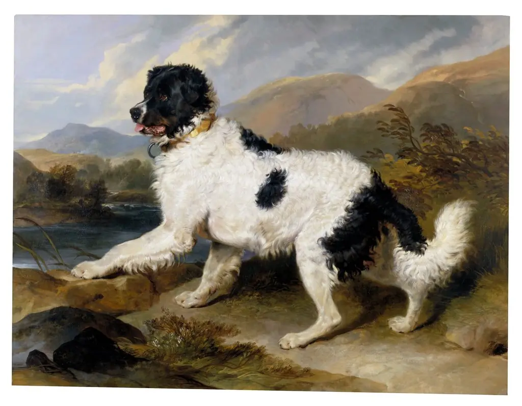 'Lion', a Newfoundland Dog, by Edwin Landseer, oil, 1824