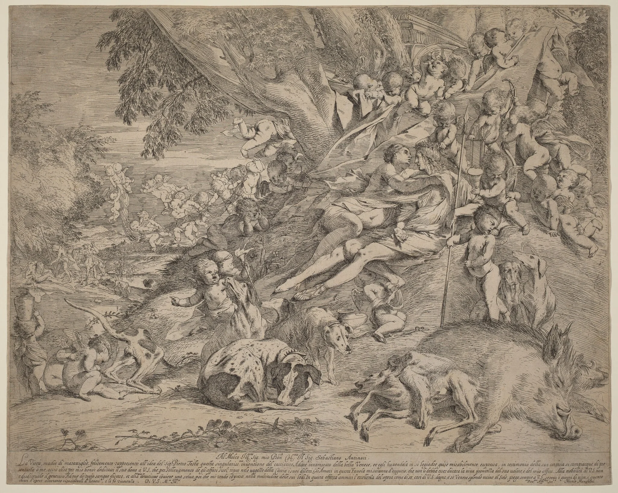 Venus and Adonis, detail