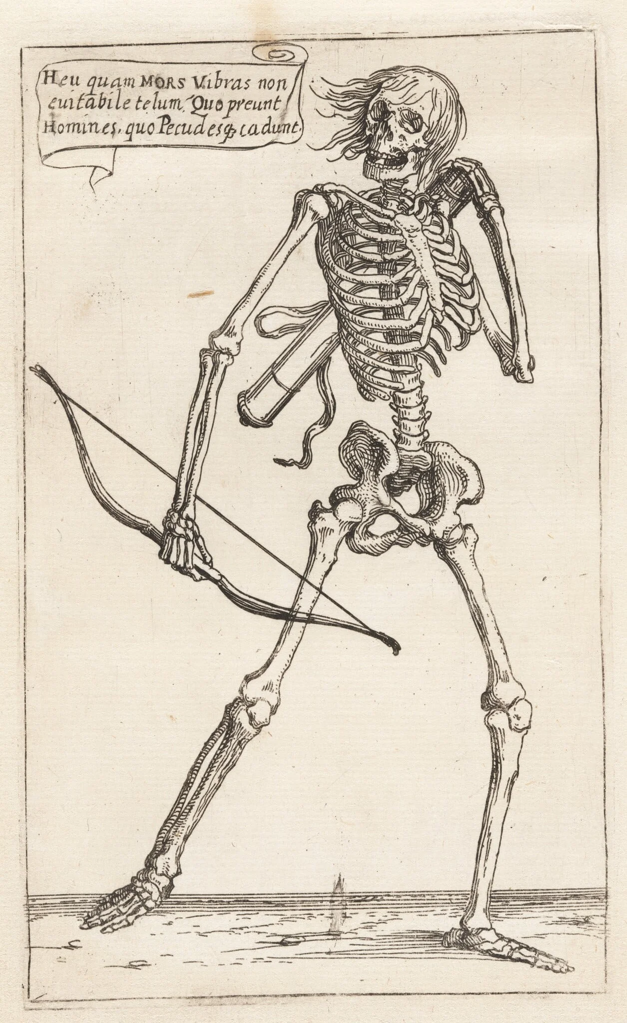Skeleton of a Man with Bow and Arrow, detail