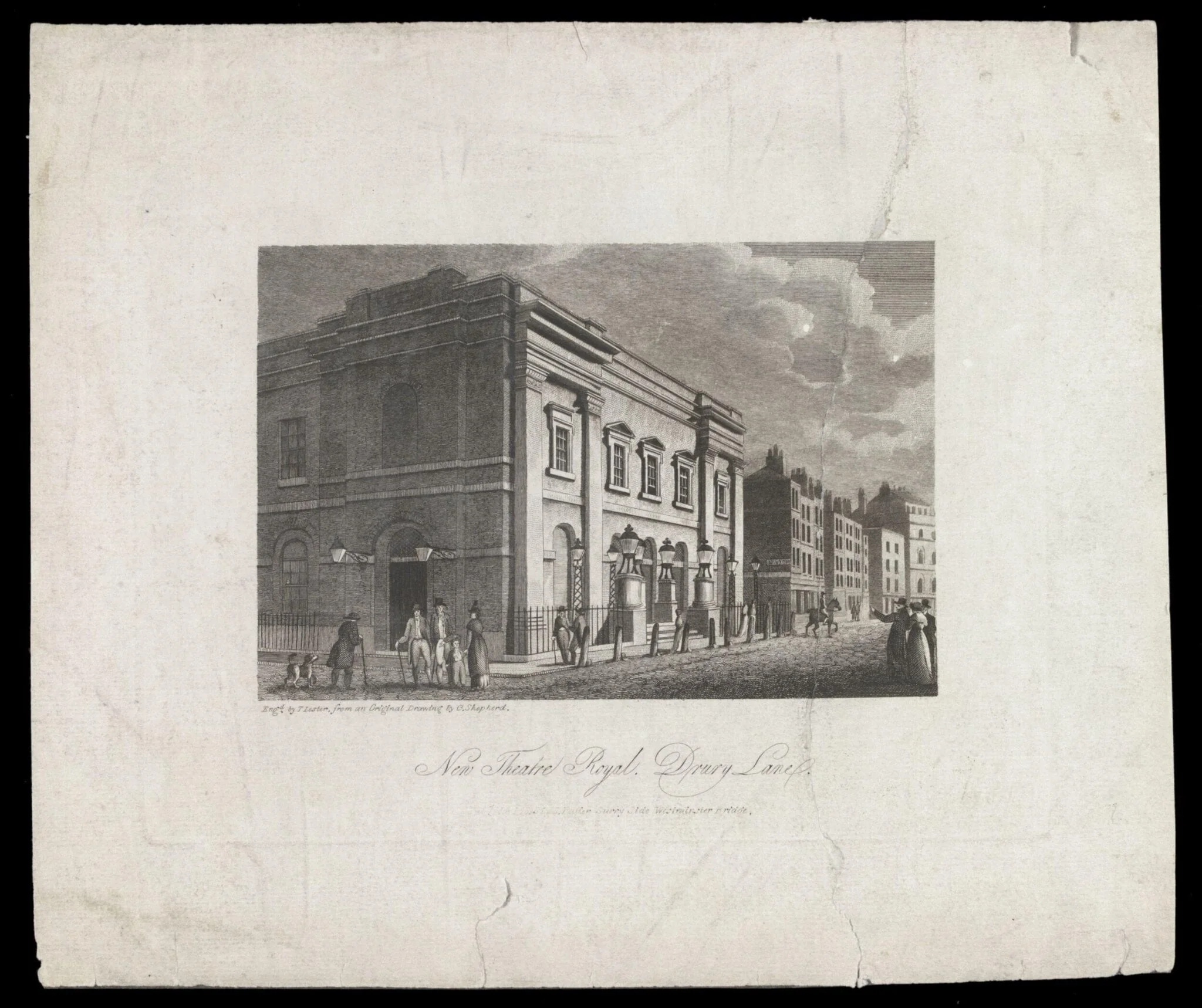 H Beard Print Collection, detail