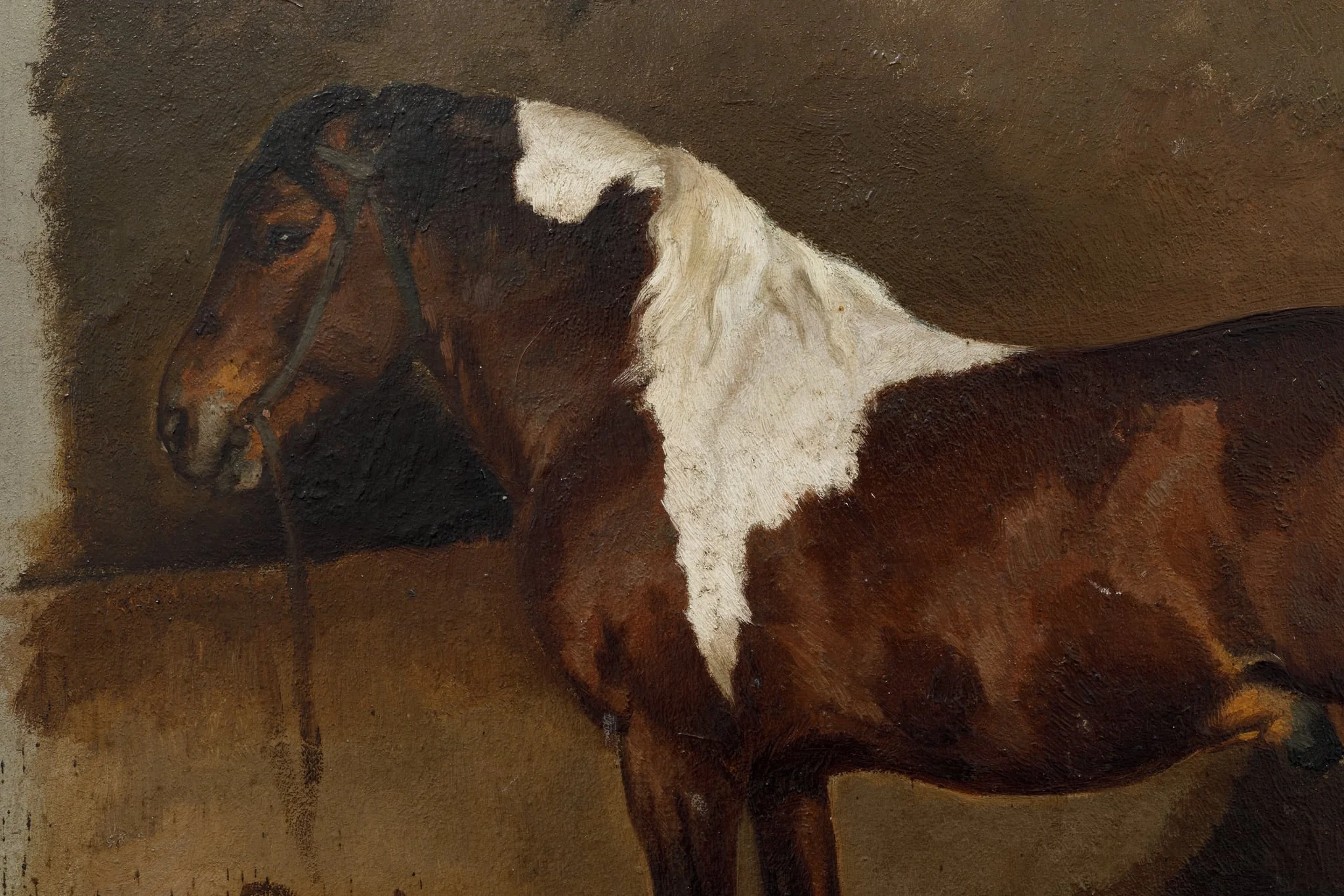 Cal, detail