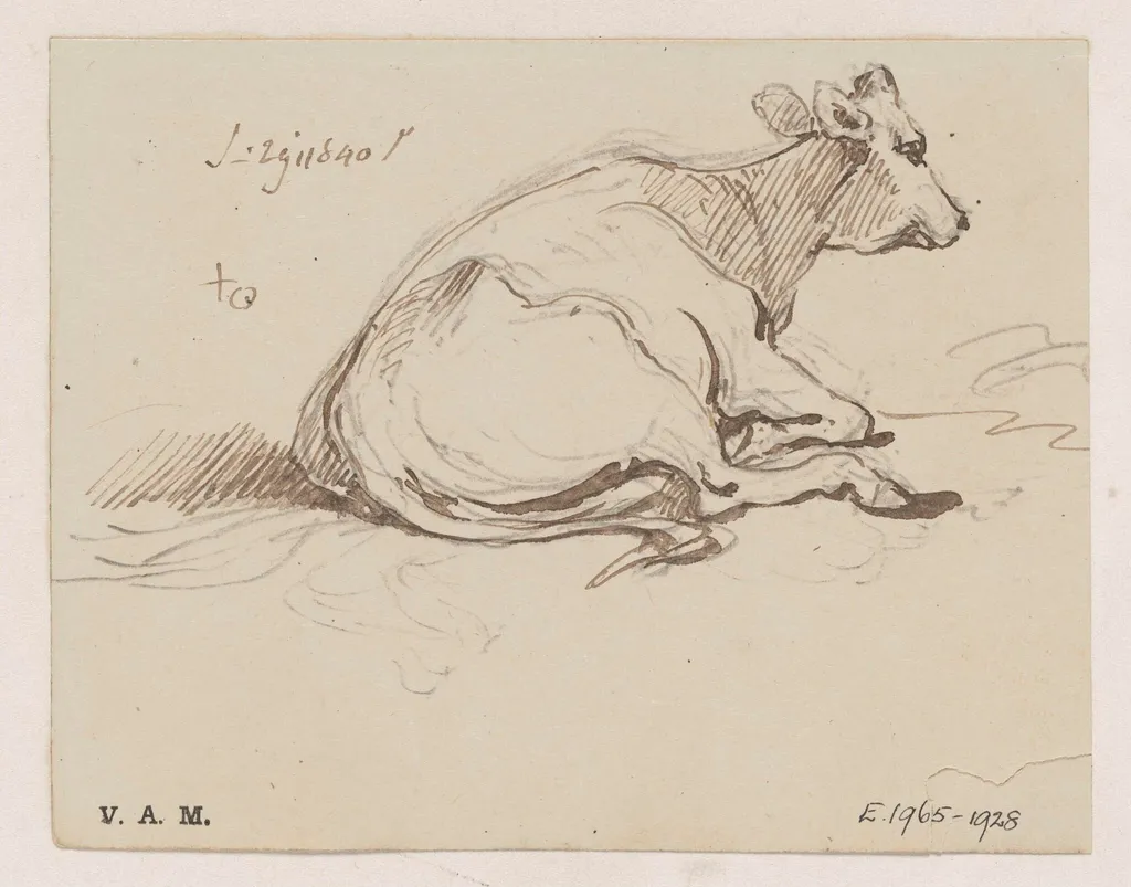 A cow, by George Chinnery, 18