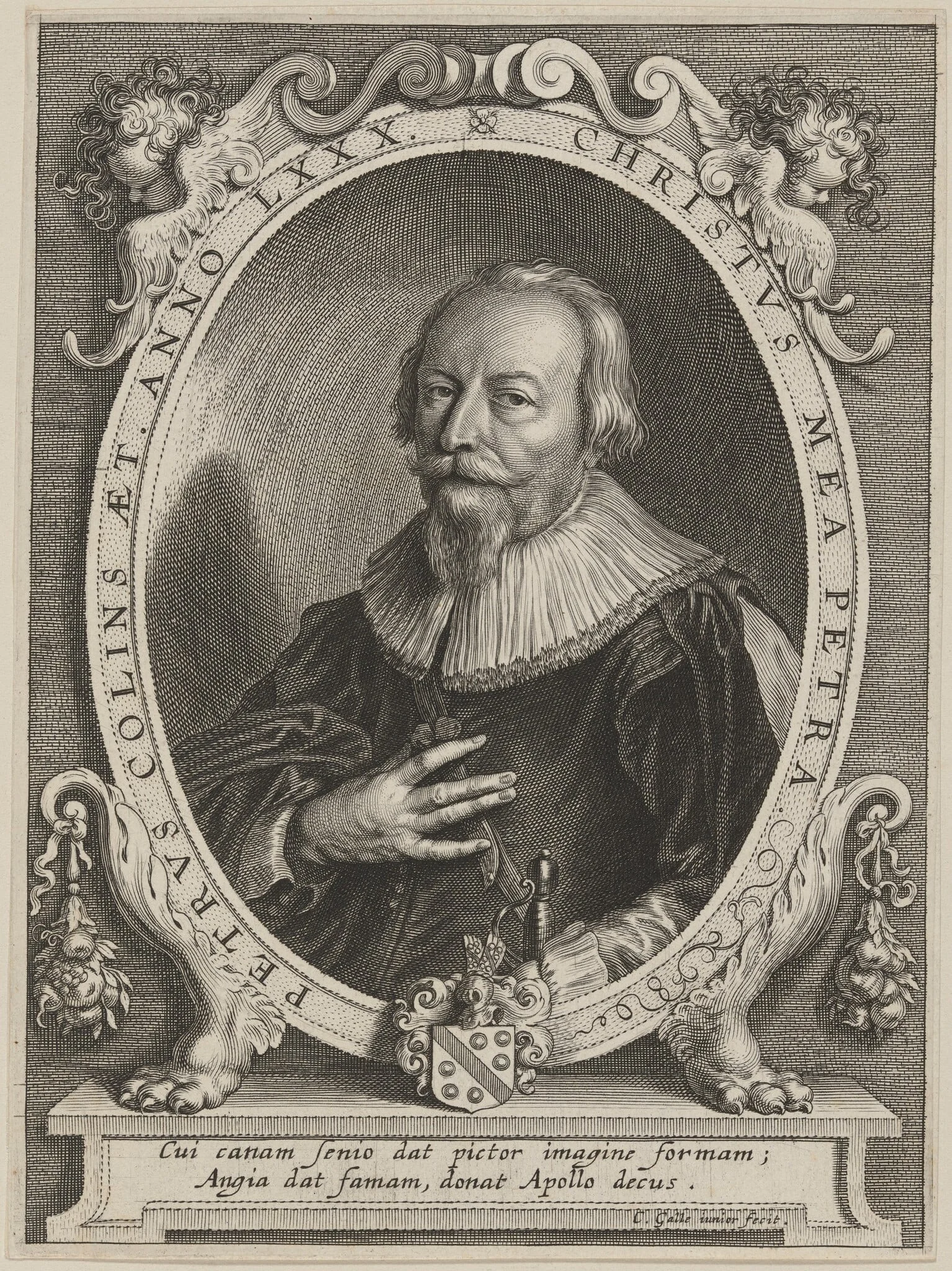 Petrus Collins, detail