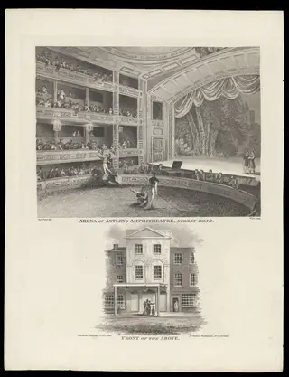 H Beard Print Collection, by George Jones, 1