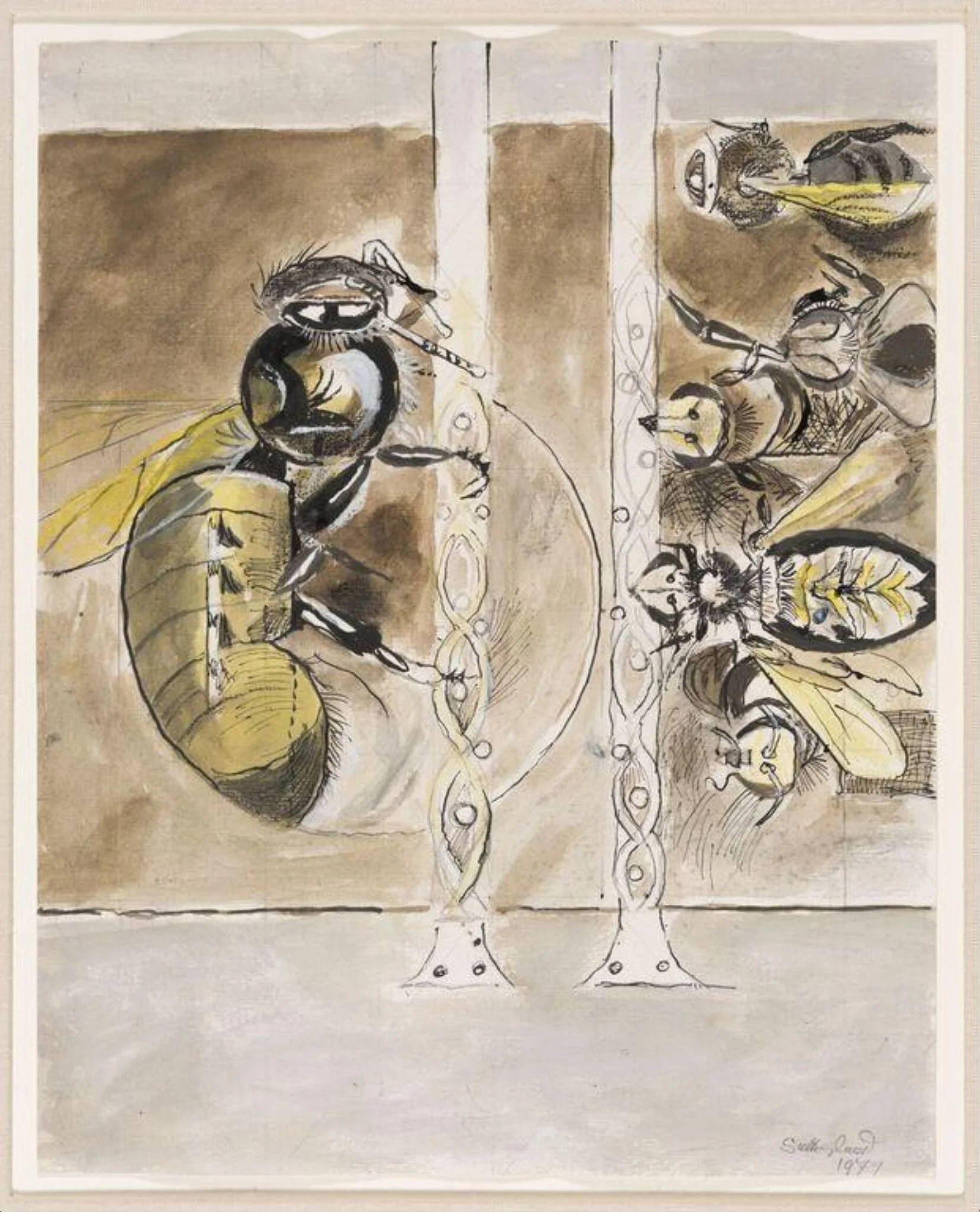 Bees: Separation of the Queen from the workers, detail
