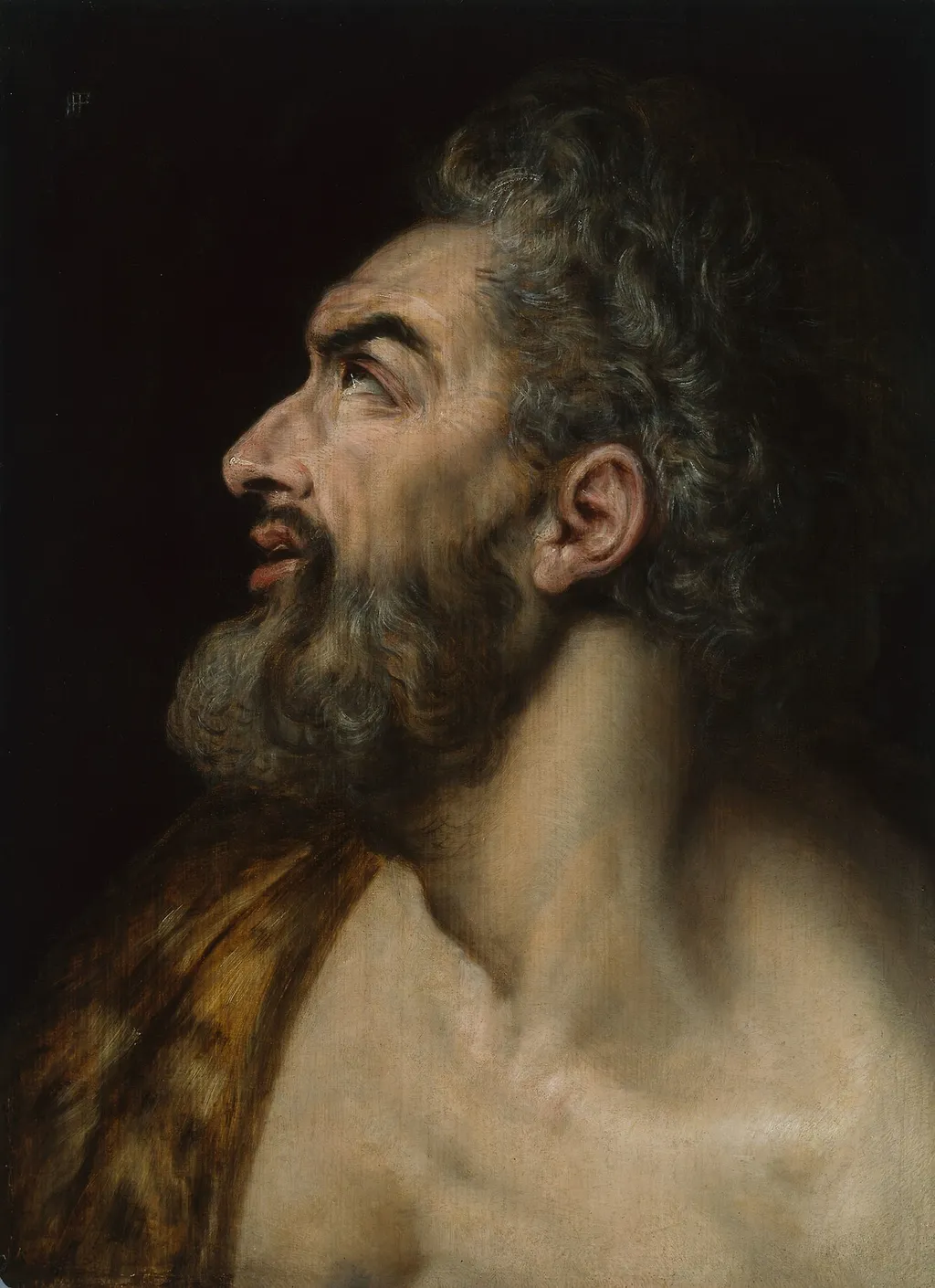 Study Head of a Bearded Man, by Frans Floris, oil, 1565