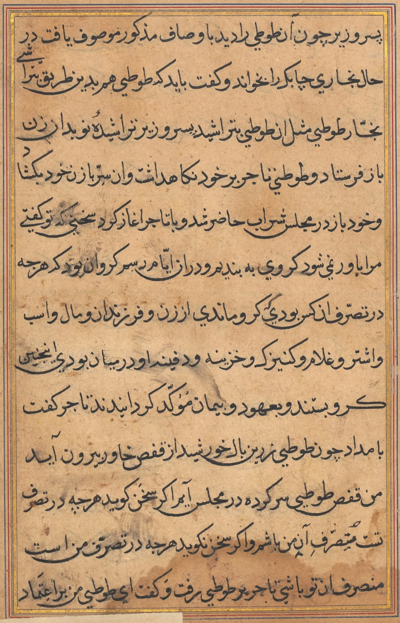 Page from Tales of a Parrot (Tuti-nama): text page, detail