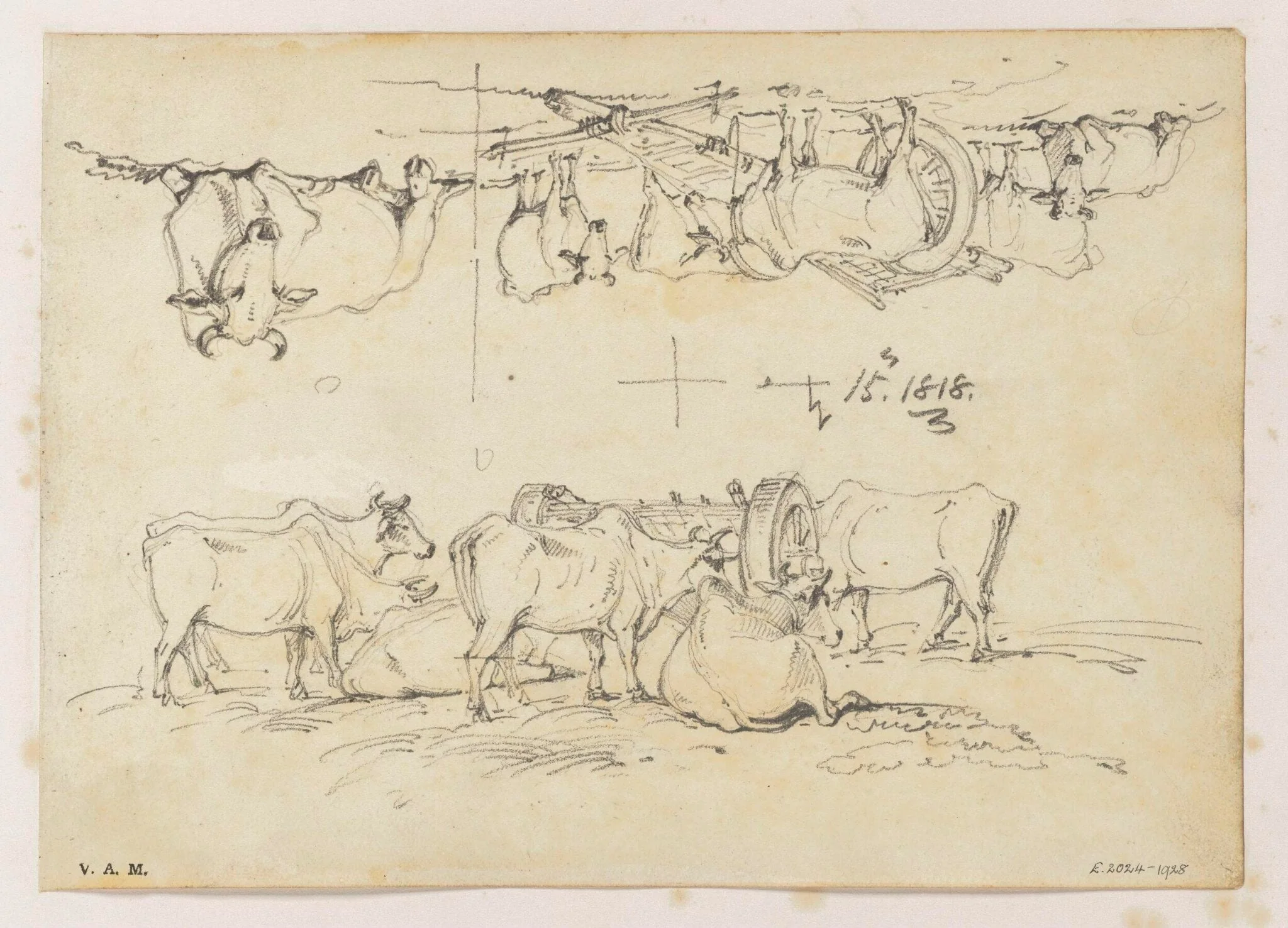 Two drawings of cattle surrounding a bullock cart, detail