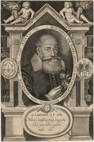 Matthias de L'Obel, by Francis Delaram, ink, 1615