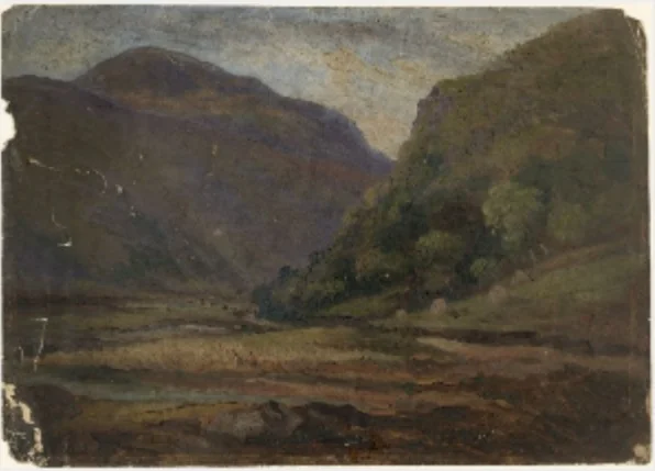 Glenmalure, County Wicklow, detail
