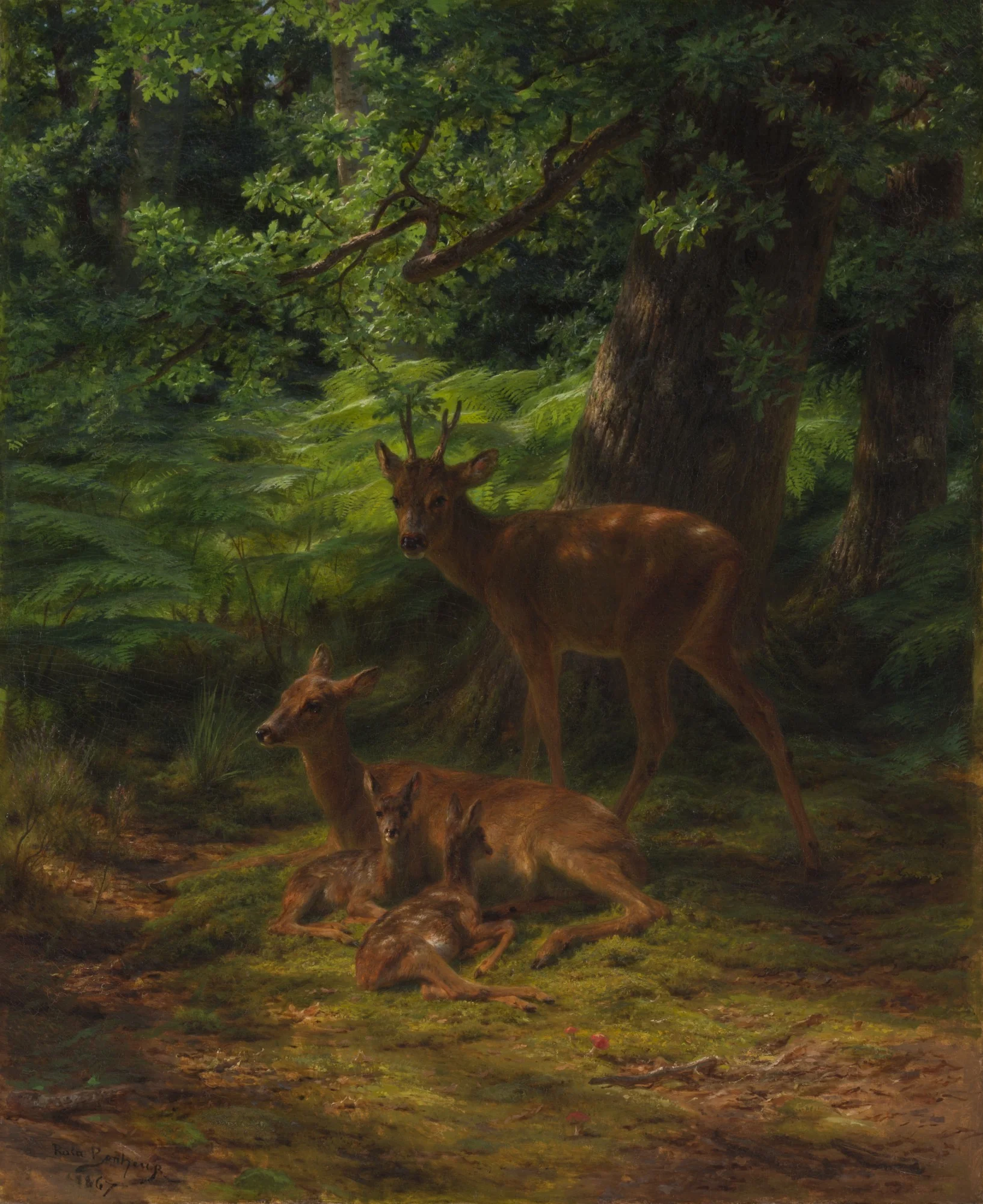 Deer in Repose, detail