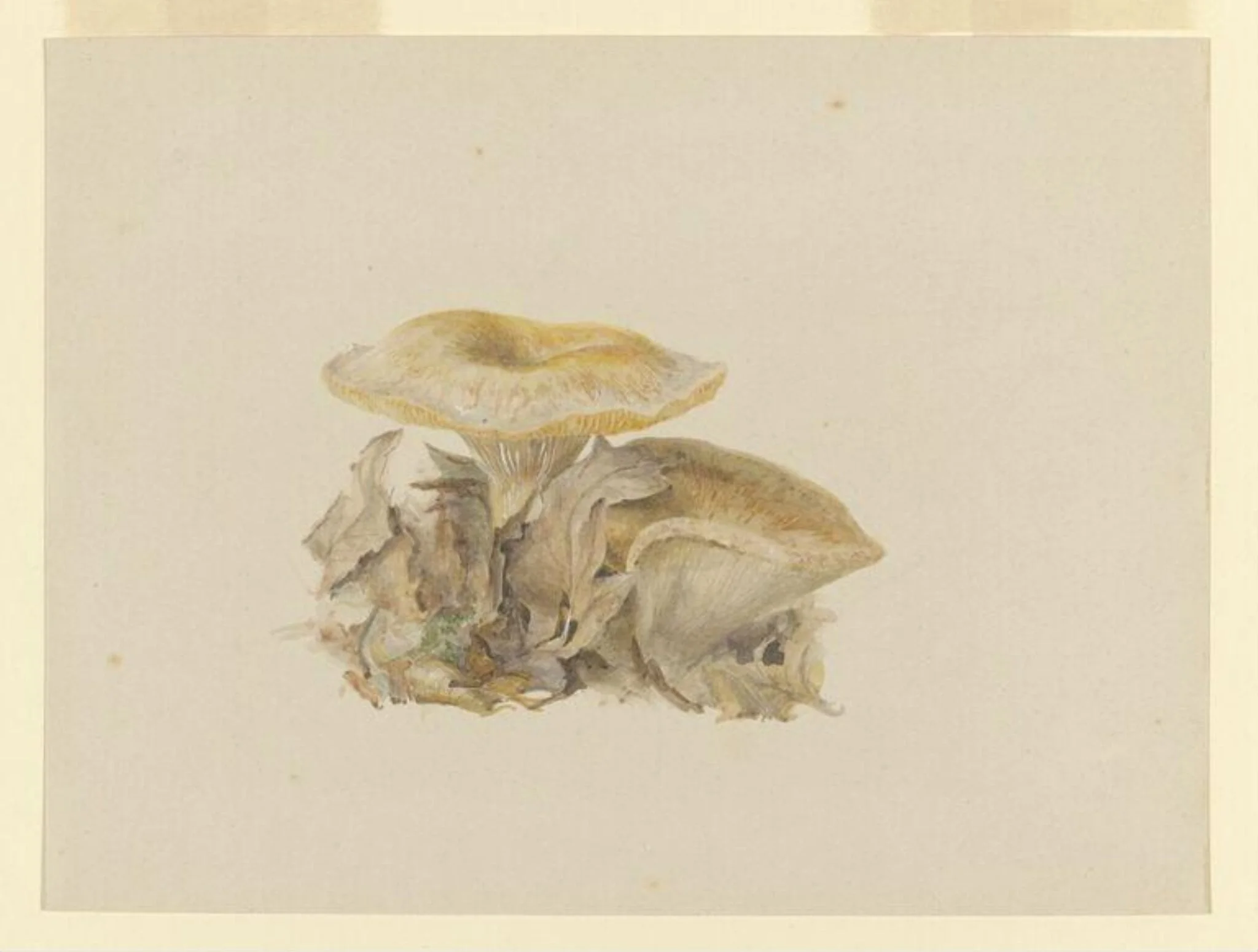 Untitled, detail