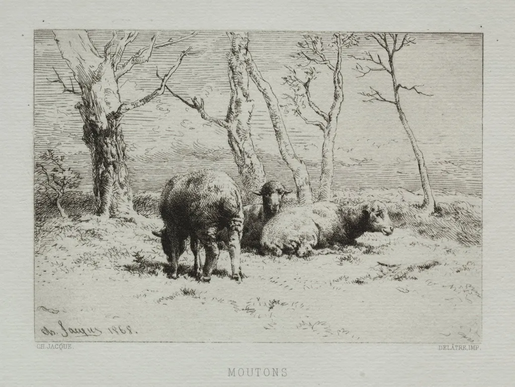 Sheep, by Charles Jacque, 1868