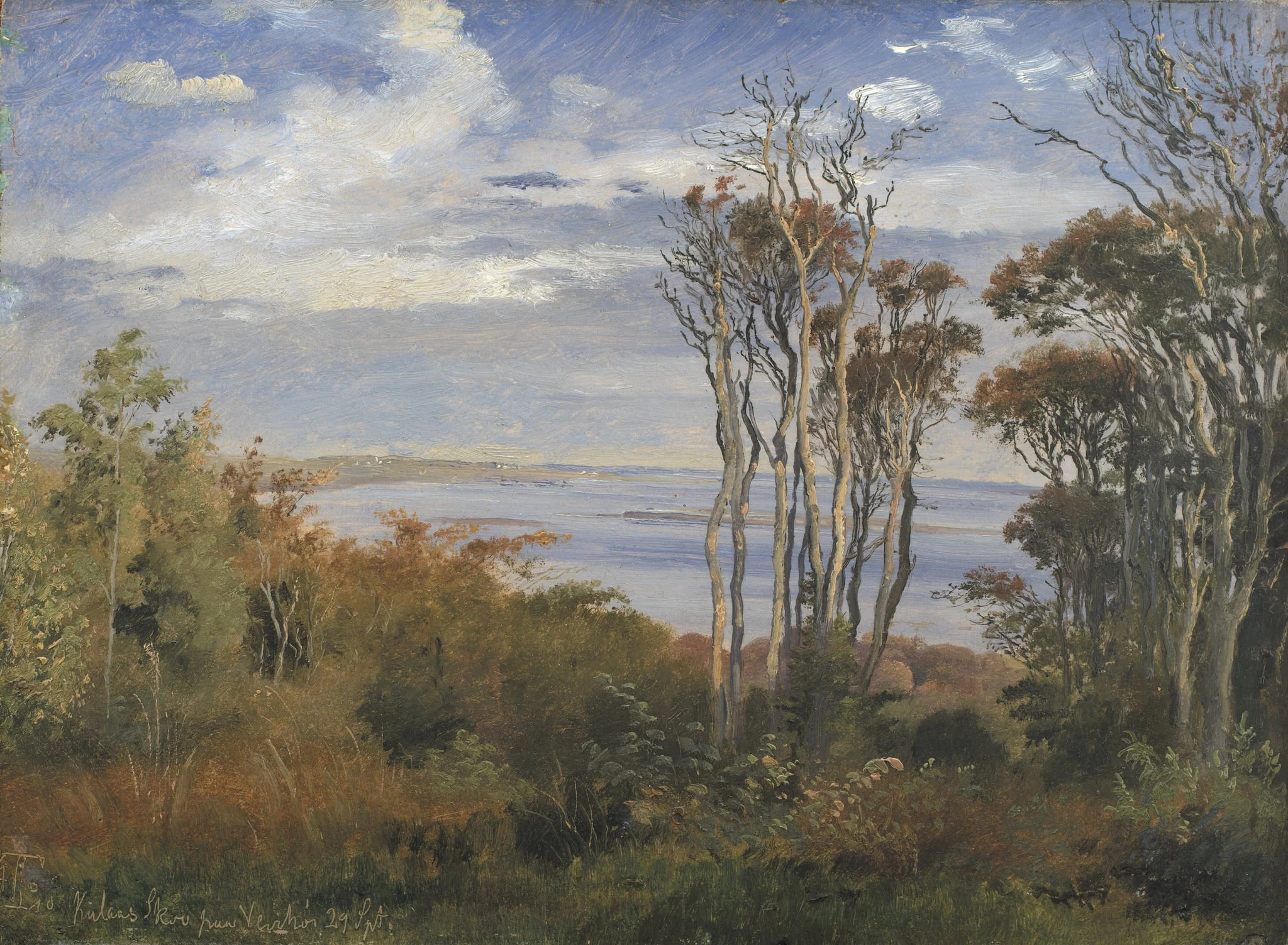 Kolås Wood, Vejrhøj, detail